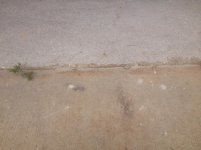 IMG_9642.jpg
