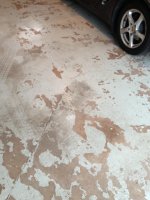 floor.jpg