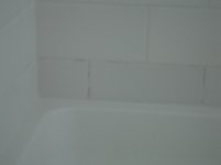 DSC04705.jpg