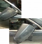 Bird Drop Side Mirror.jpg