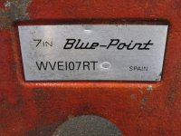blueptspain1.jpg