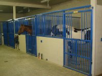 P8150026.jpg