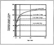 concrete cure.jpg