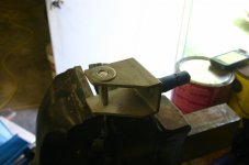 IMG_2146.jpg