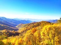 FALL IN THE SMOKIES.jpg