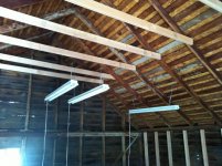 IMG_0942[1].jpg