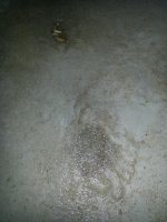IMG_20140406_164336.jpg