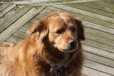 youngest Strand Taffy.jpg