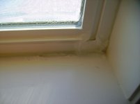 IMGP1335.jpg