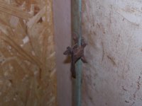 locker latch.jpg