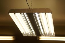 Garage light (Large).JPG