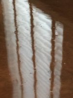 IMG_5705.jpg