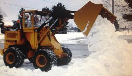 aaasnowbucket1.jpg