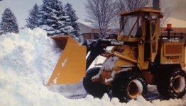 aaasnowbucket3.jpg