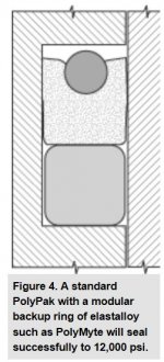 U CUP WITH THICK BACKUP  from  HYDRAULICSPNEUMATICS . COM.JPG