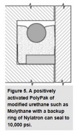 POLY WITH BACKUP  from  HYDRAULICSPNEUMATICS . COM.JPG
