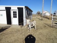 New barn2015 003.jpg