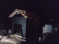 P11-10-14_23-12.jpg