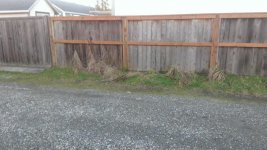 WP_20150119_005.jpg