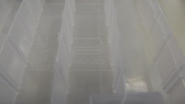 DSCF3621.jpg