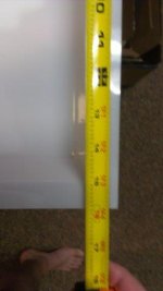 IMAG0287.jpg