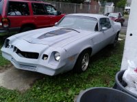 81Z28pic3.jpg
