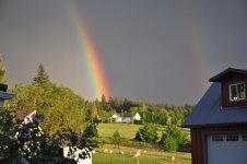 DSC_0260.jpg