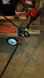 Carol's whip.jpg