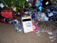 SS gift.jpg