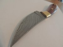 DSCN0781.jpg