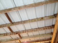IMG_5178.JPG