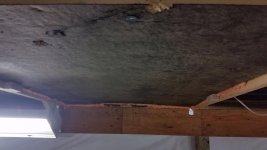 20150118_180621 - Copy.jpg