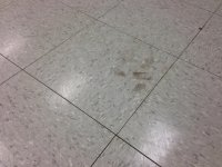 floor pics 008.jpg