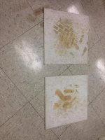 floor pics 010.jpg