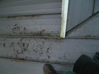 roof 2015 016.jpg
