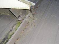 roof 2015 017.jpg