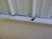 Garage Leak Fix 9-16-14 (13).jpg