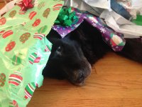 BoChristmas.jpg