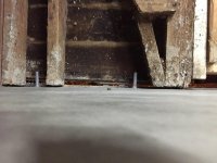 IMG_0480.jpg