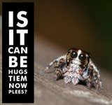 Hugs.jpg Hugs.jpg
