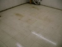 DSC08284.JPG