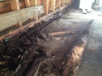 Screaming **** Garage (7).jpg