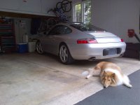 Porsche v3.jpg