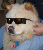Matoska Shades.jpg