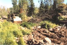 swamp dozer.jpg swamp dozer.jpg
