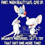 reality check(pinky the rat).jpg