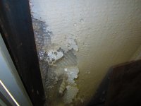 IMG_0460.JPG