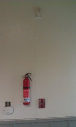 IMAG2384.jpg