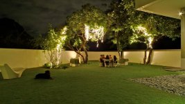 temp south garden.jpg