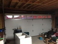 IMG_1217.JPG